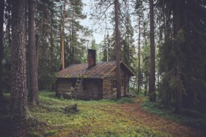 The unedited cabin in the woods