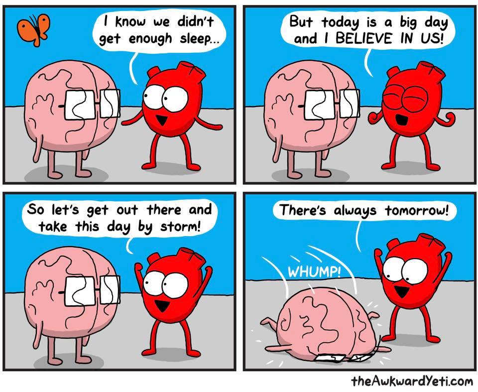 Heart and Brain by Nick Seluk