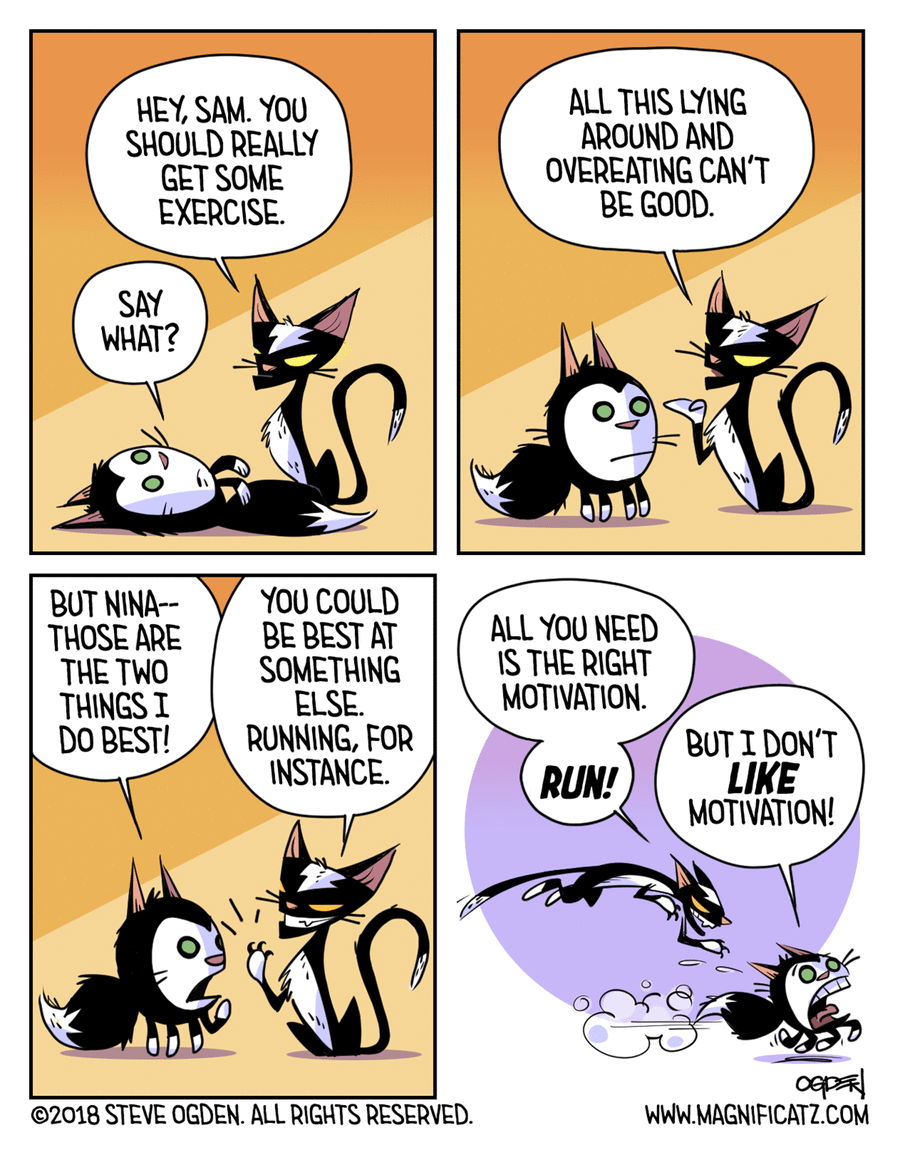 Magnificatz by Steve Ogden